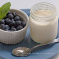 Sabor de arándano bifidobacterium yoplait yogurt